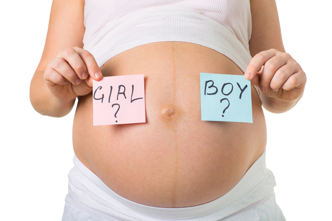 Pregnancy Gender Scan – Fetal Sex Determination (Limited OB Ultrasound)