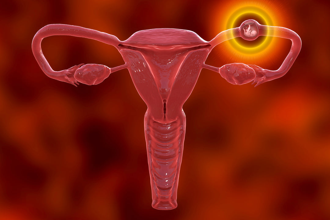 Ectopic Pregnancy Evaluation – OB Emergency Focus (TA/TV)