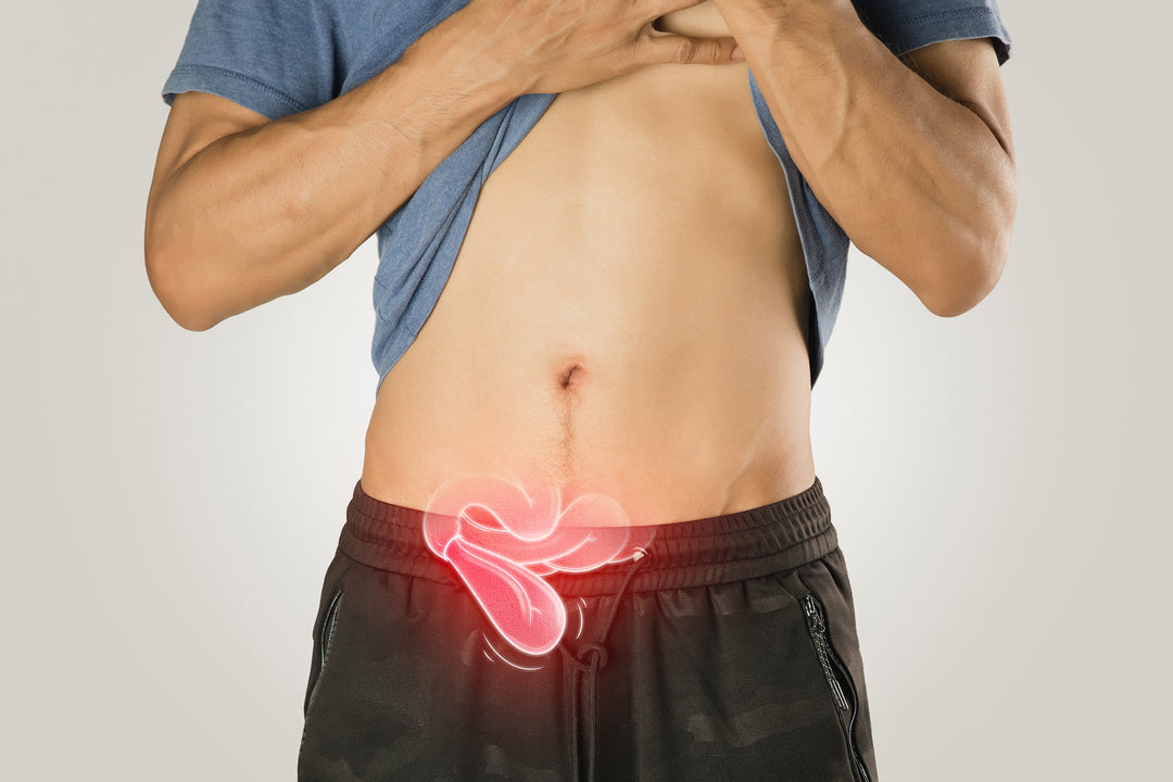 Hernia Ultrasound (Abdominal Wall / Inguinal)