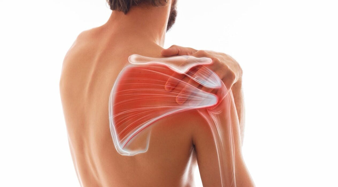 Musculoskeletal & Soft Tissue